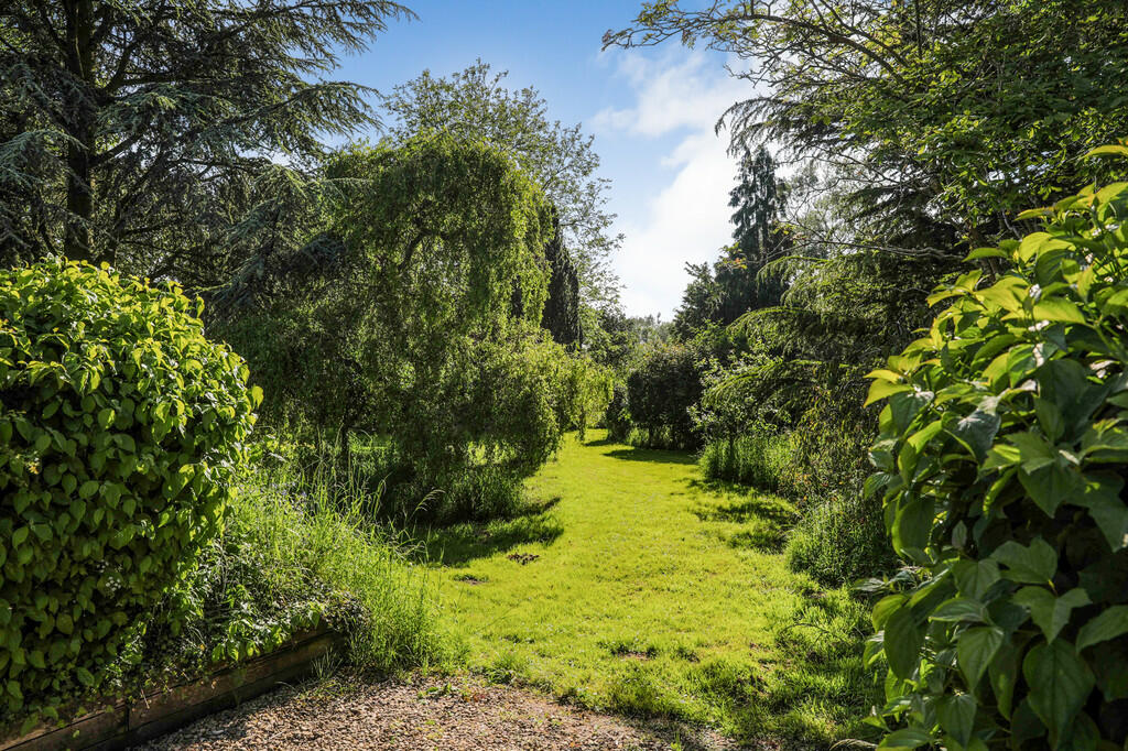 Little Milton gar...