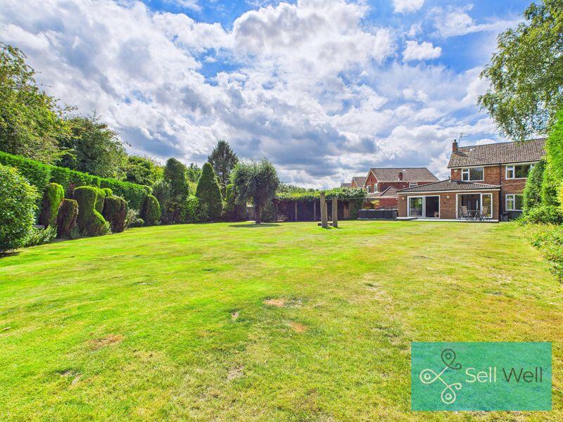 Back Garden