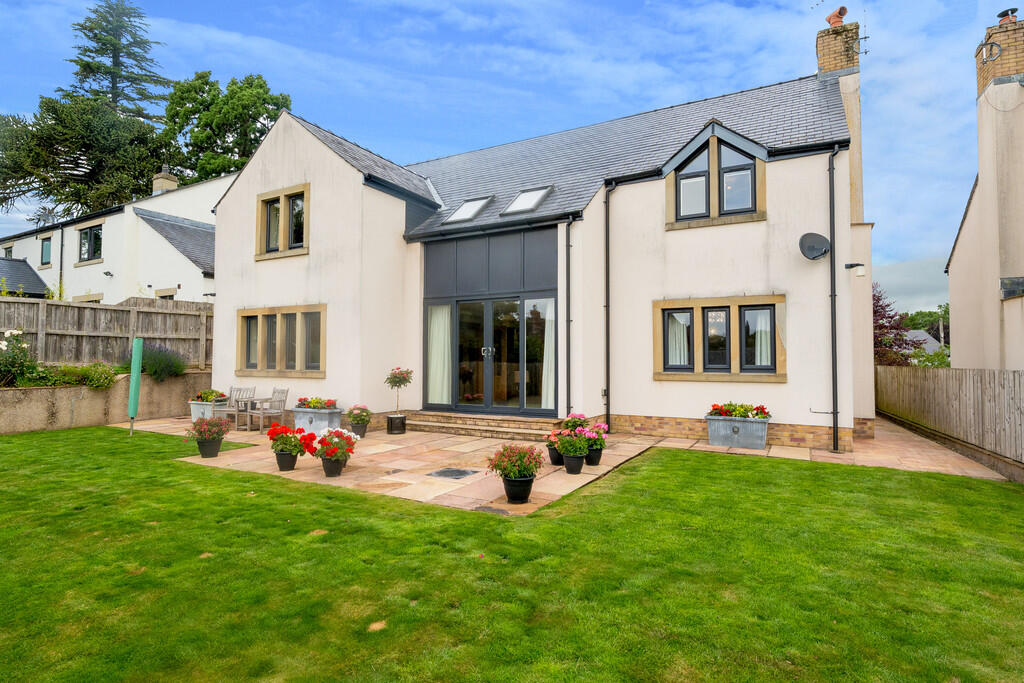 Rear Aspect and G...