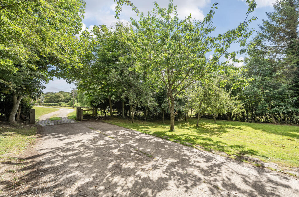 -68931b594f04e-l-1330667-18-68923153b7462