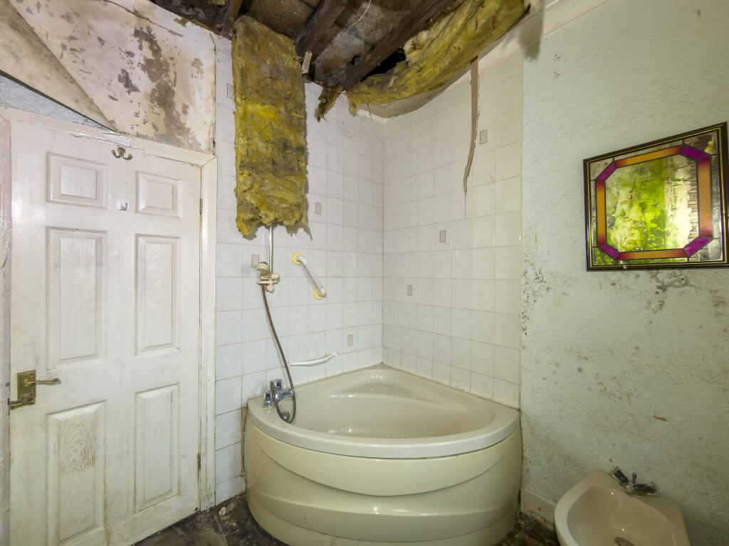 IMG 9301 T202512121005.jpg