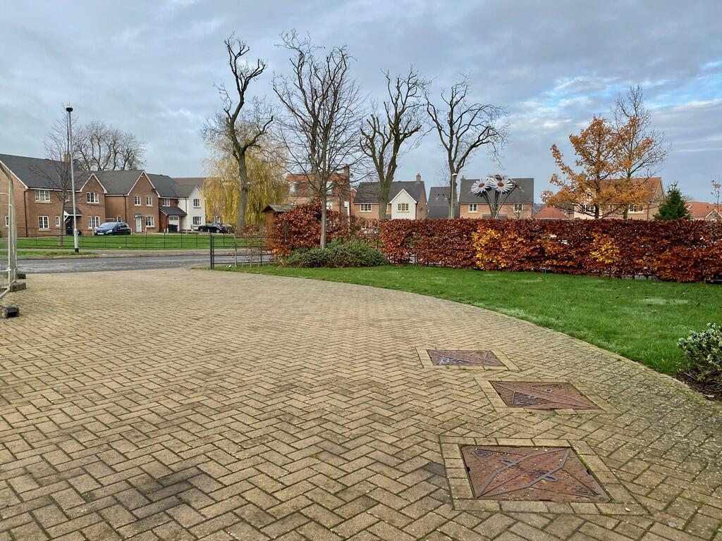Ample Parking