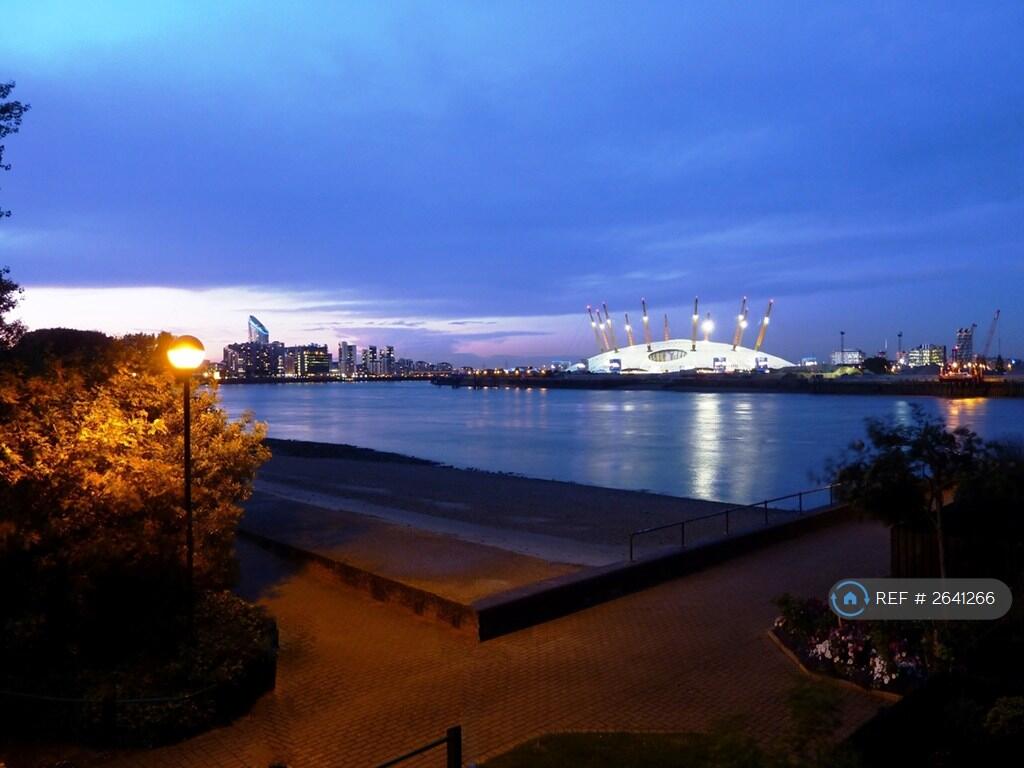 Night View