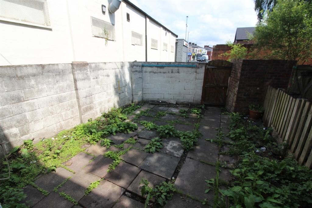 Rear Yard T202506191316.jpg