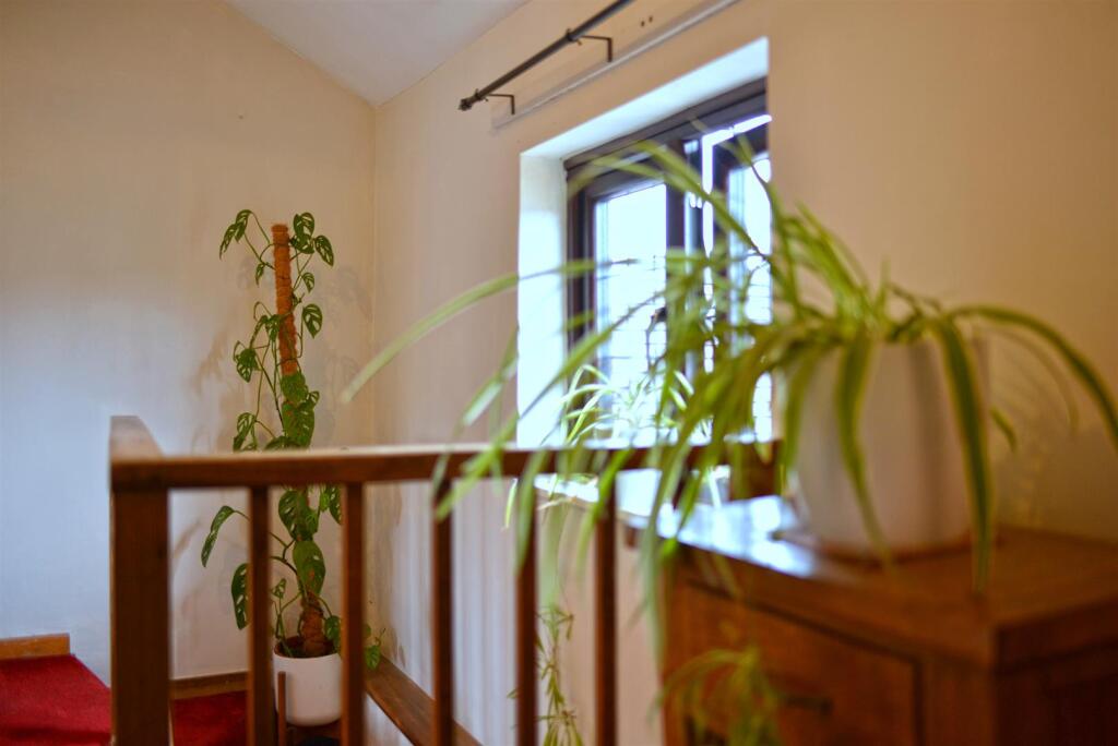DSC_8182.JPG