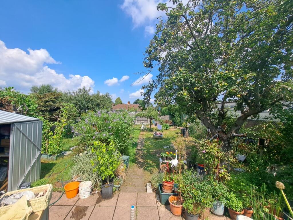 WhatsApp Image 2024-08-10 at 21.46.34