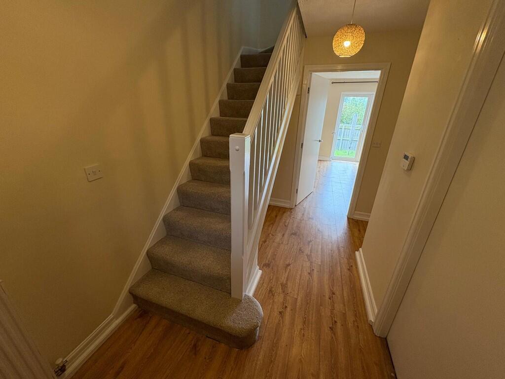 IMG-20250729-WA00...