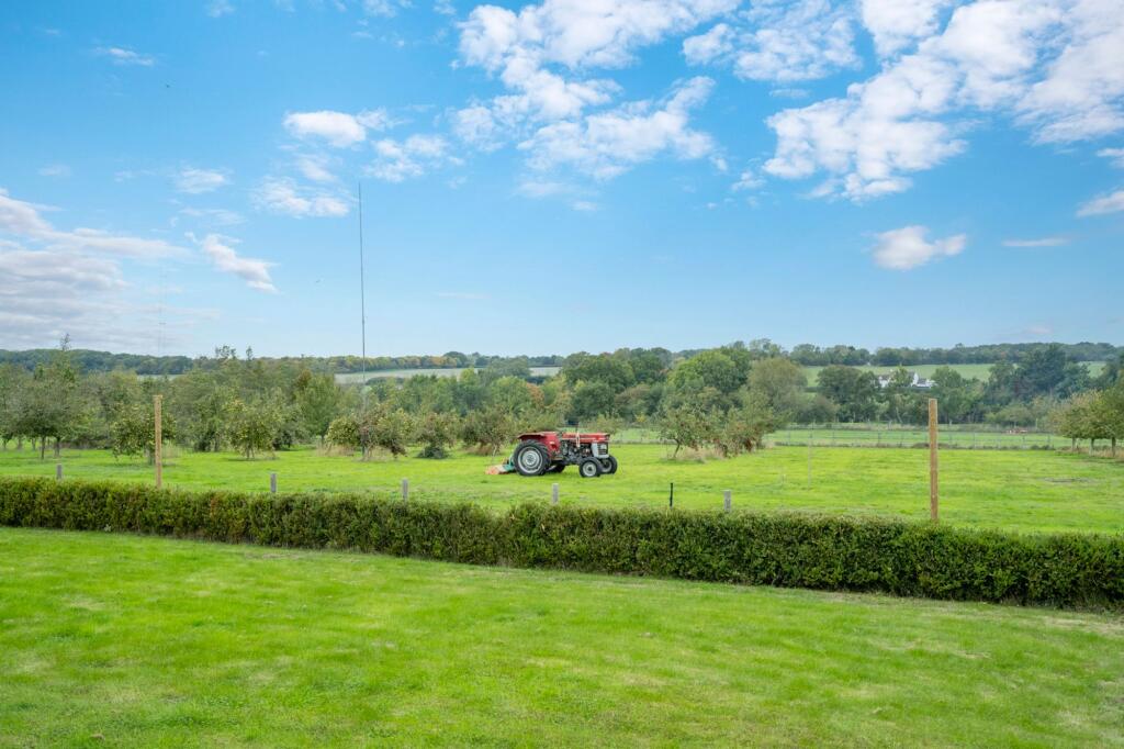 Three Acre Orchard