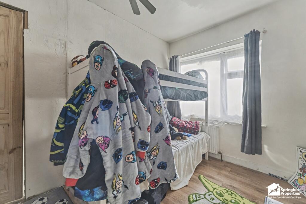IMAGE 11