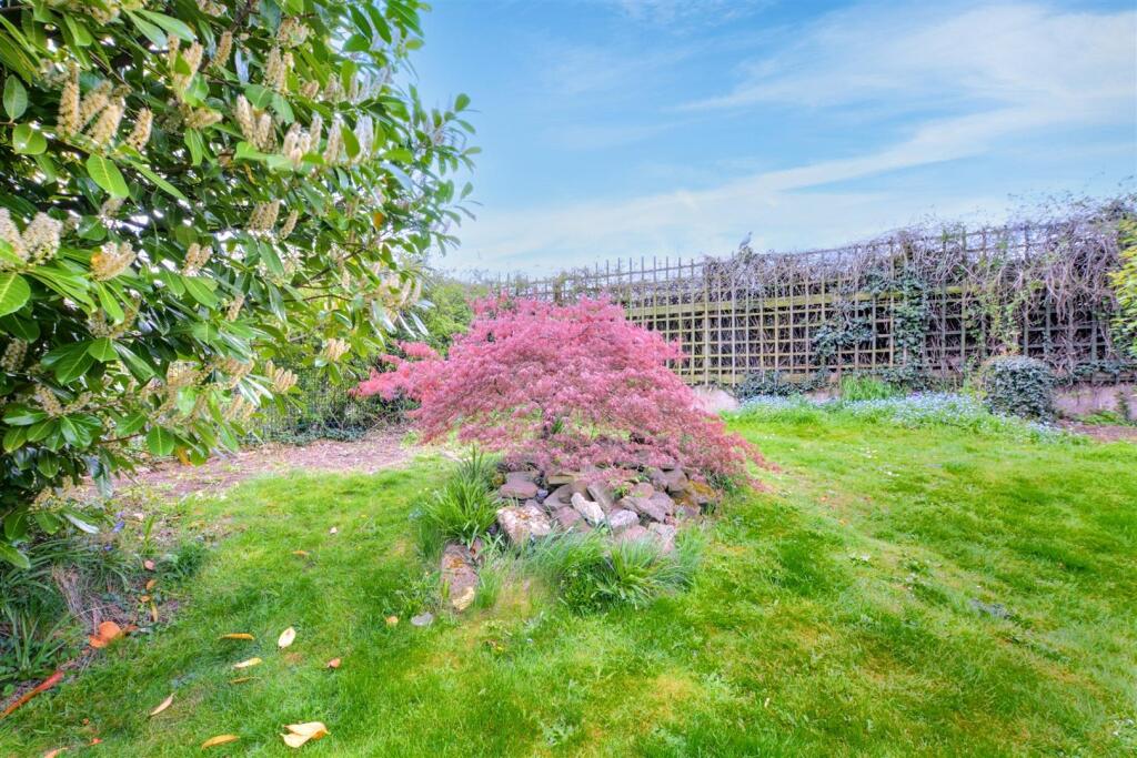 Garden_5.jpeg