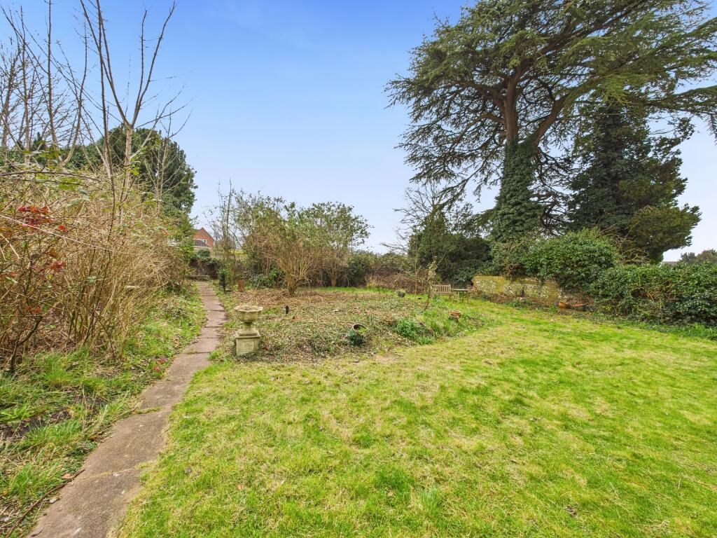 garden 1