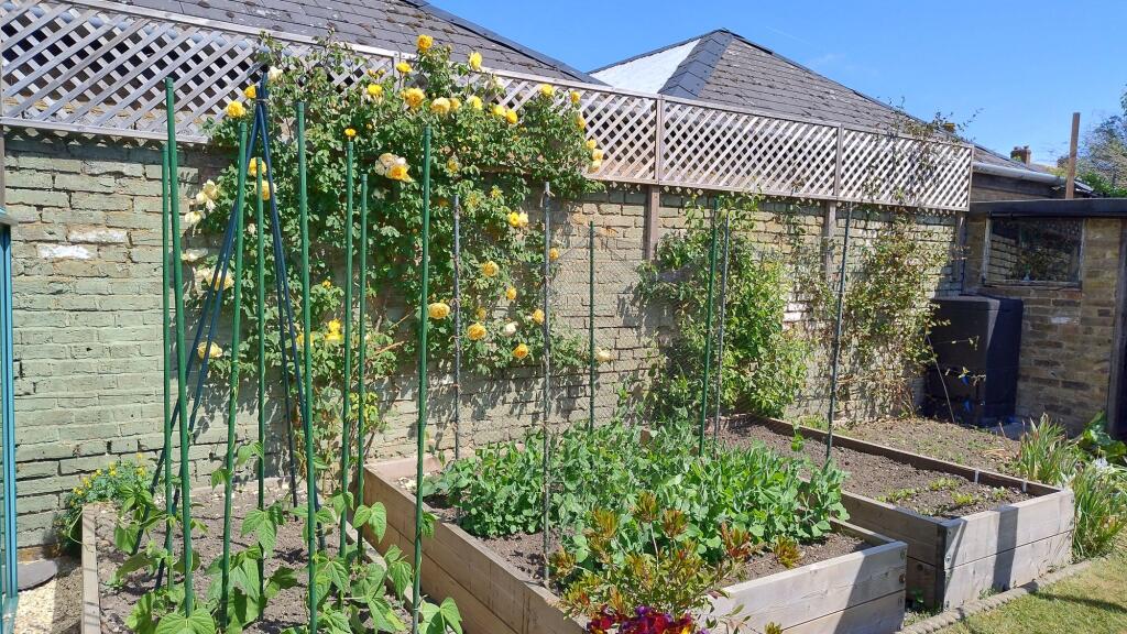 Garden (12)