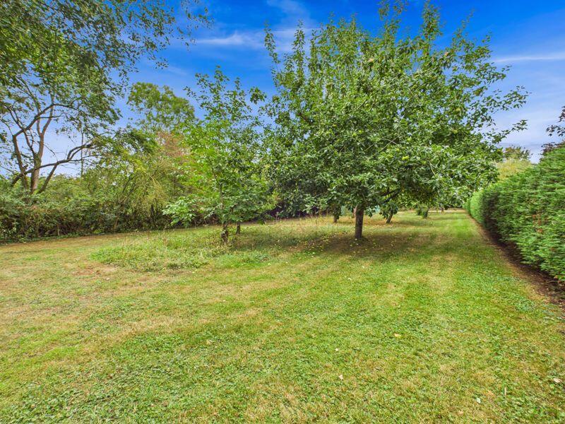 Large Rear Garden/Orchard
