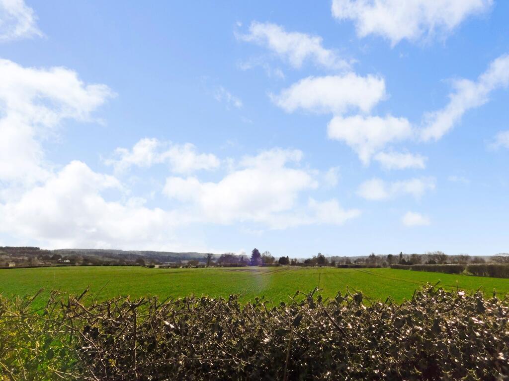 View from rear garden