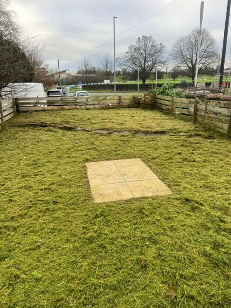 back garden