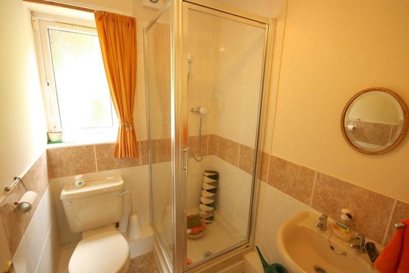 photo11