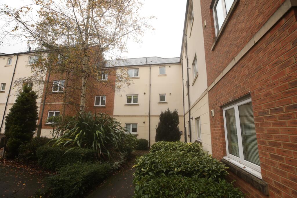 IMAGE 12