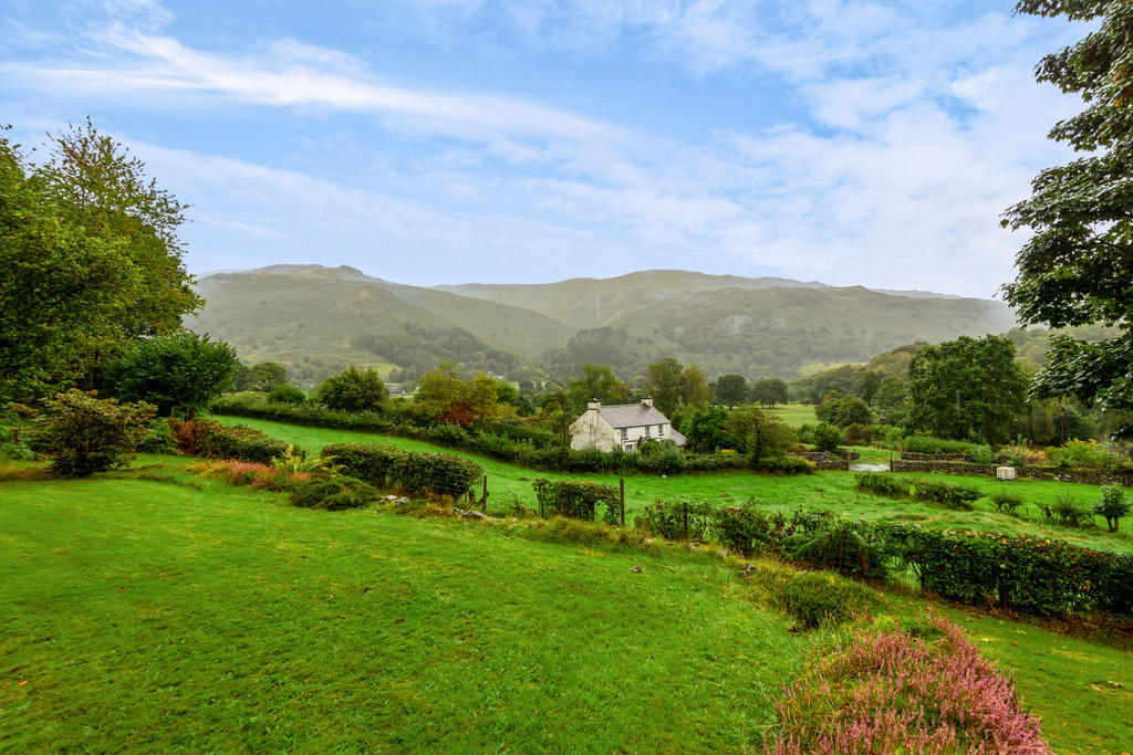 Garden and View