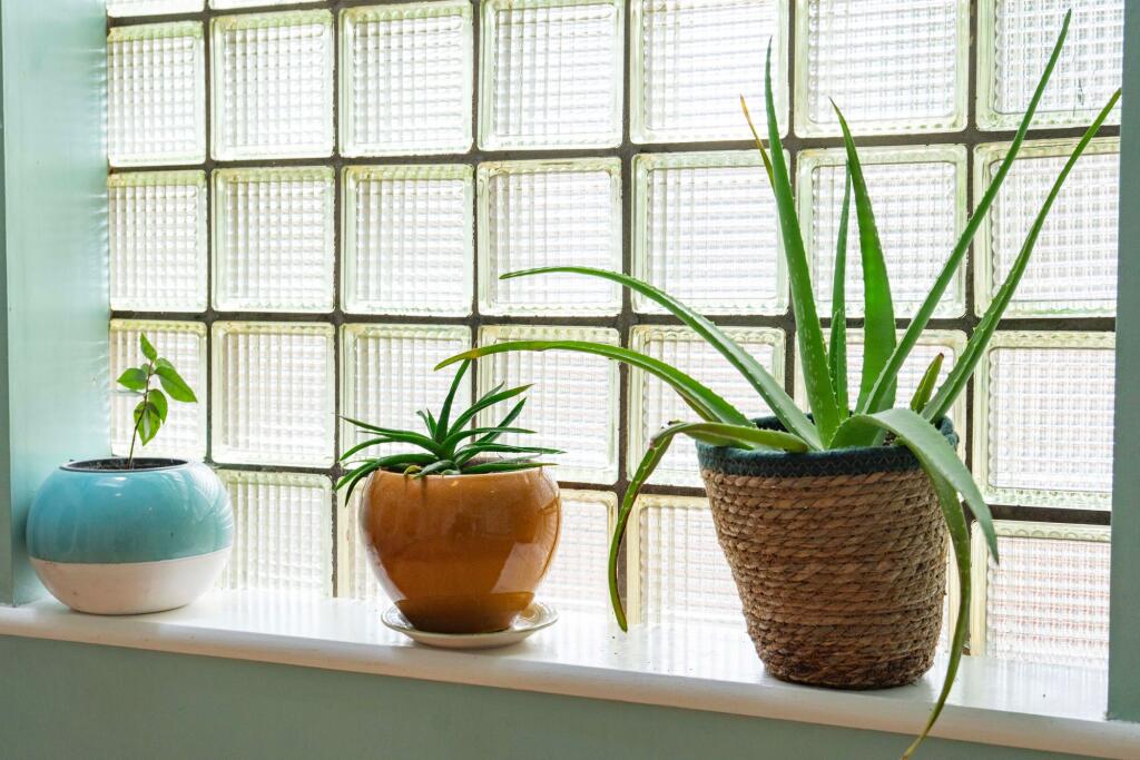 Ground Floor WC/Utility Room