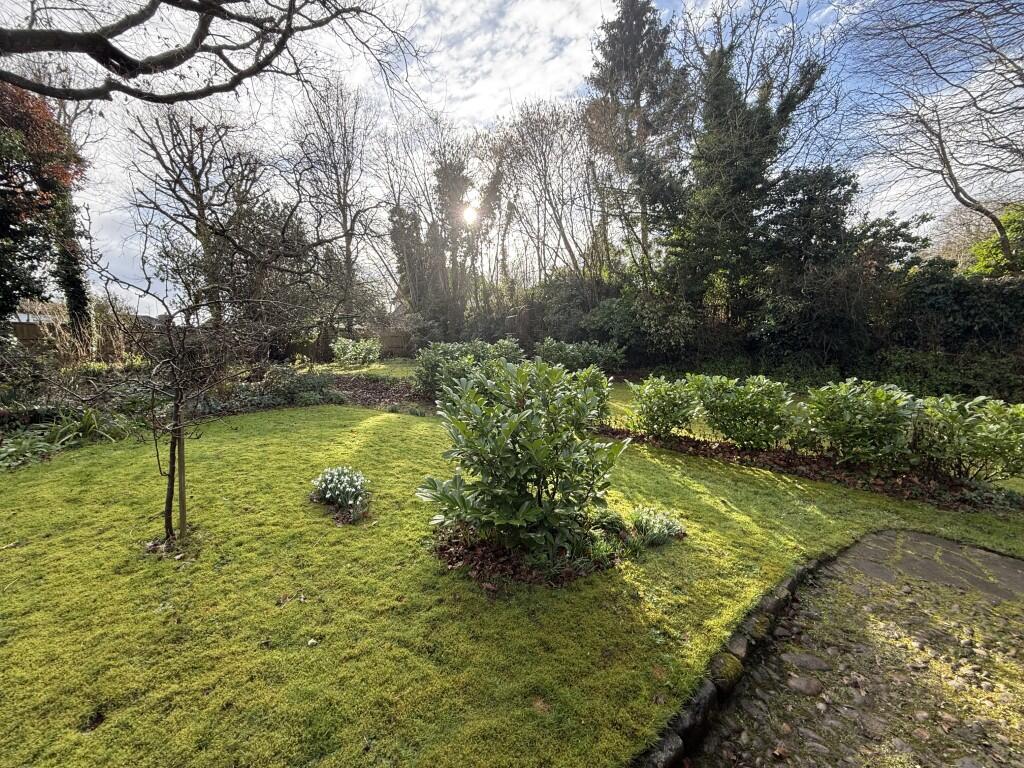 Image00005  Medium  T202502281546.jpeg