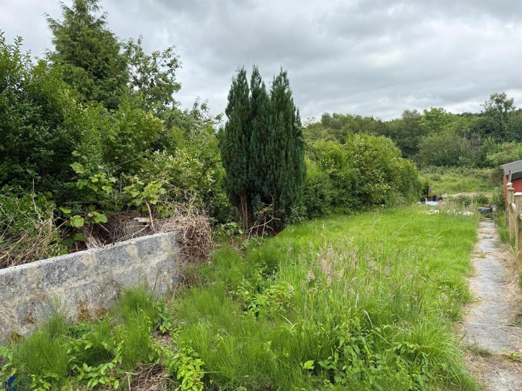 garden2.jpg