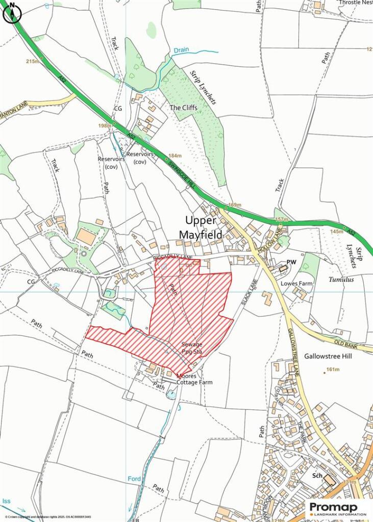 Promap-3118090-3215724-2082-0.jpg