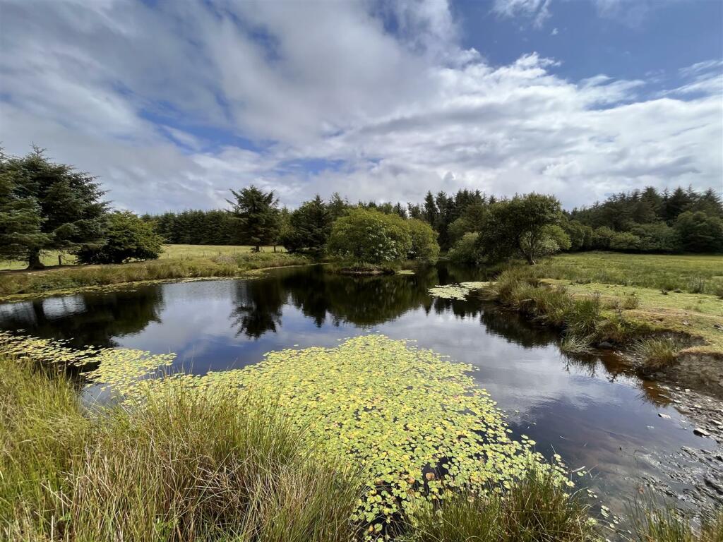 lake.JPG
