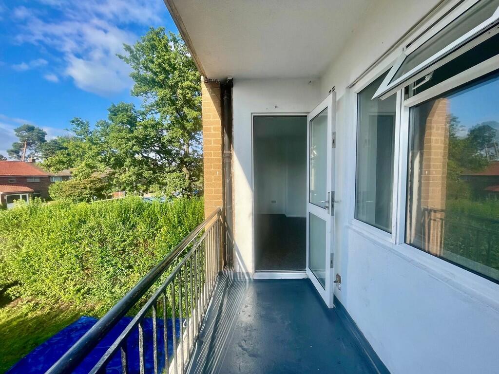 WhatsApp Image 20...