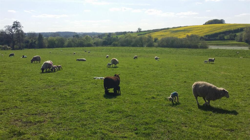 20140414_155118 (2).jpg