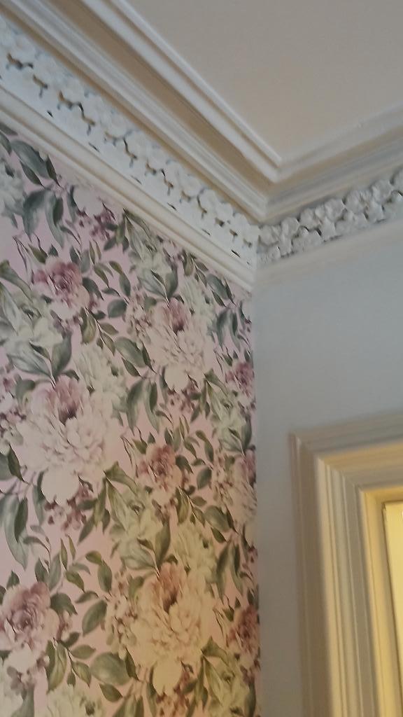 Decorative Cornice