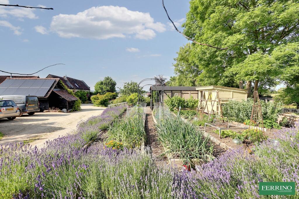 Vegetable Garden