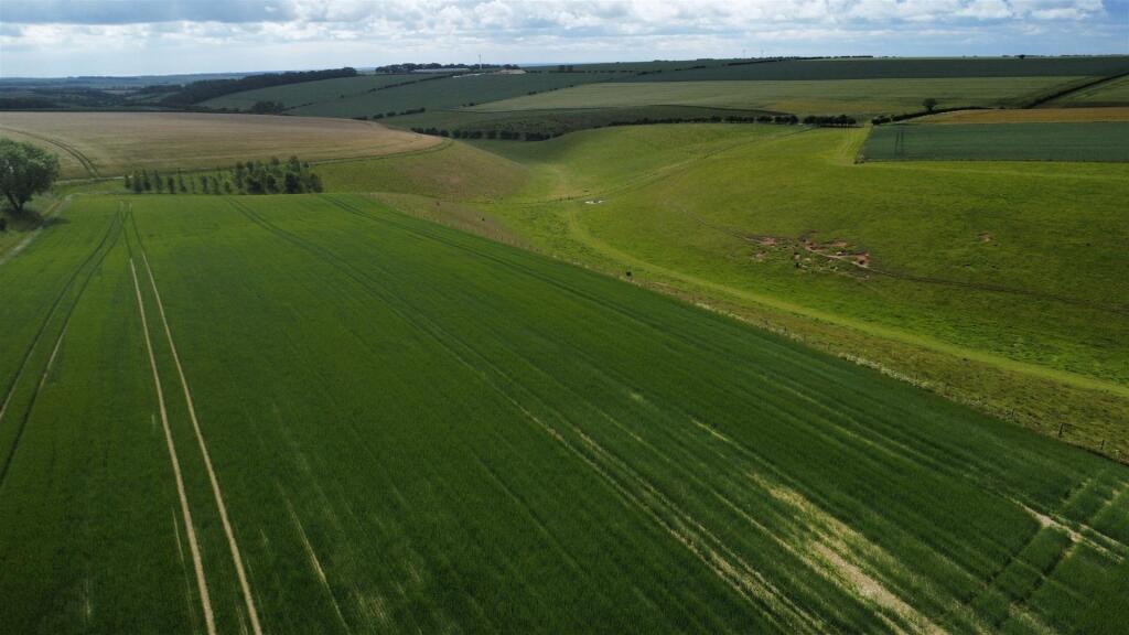AGRICULTURAL LAND