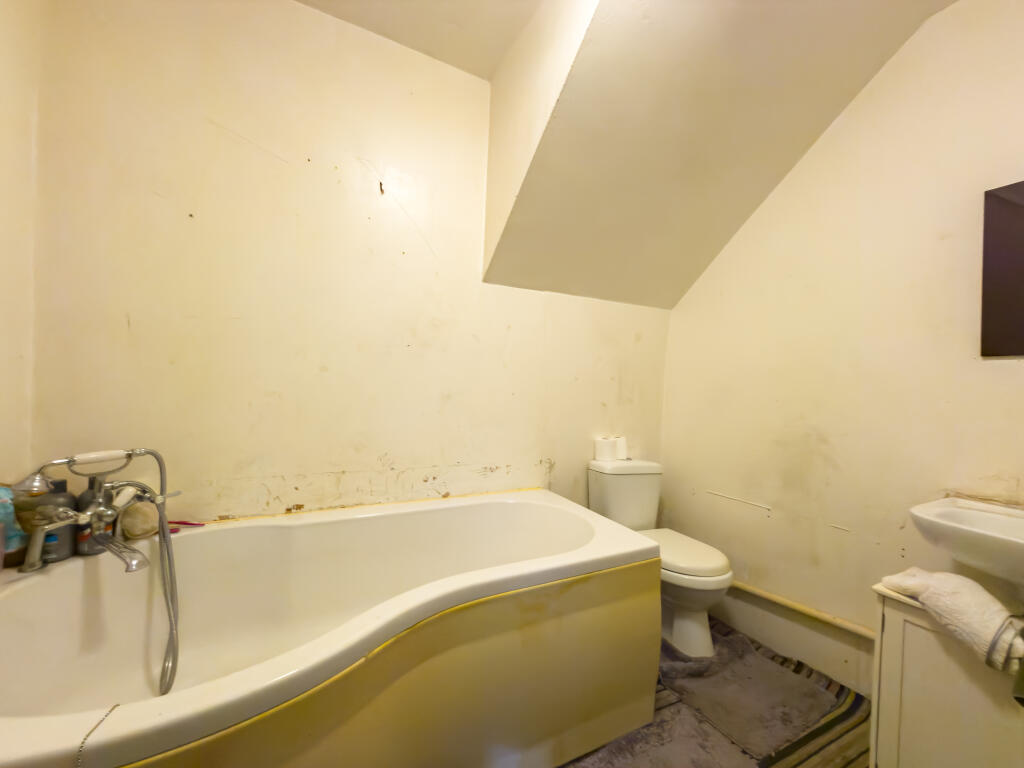 IMG 5416 T202510071943.jpg