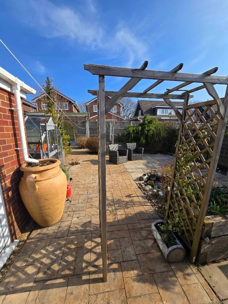 Back garden
