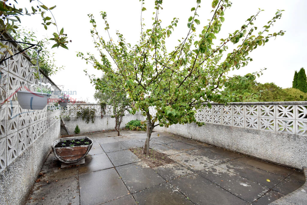 garden 2 .JPG