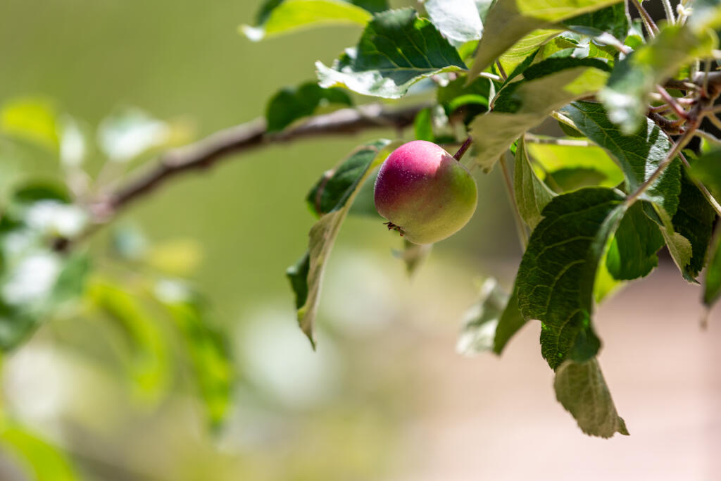 5F8A4875-Enhanced-NR