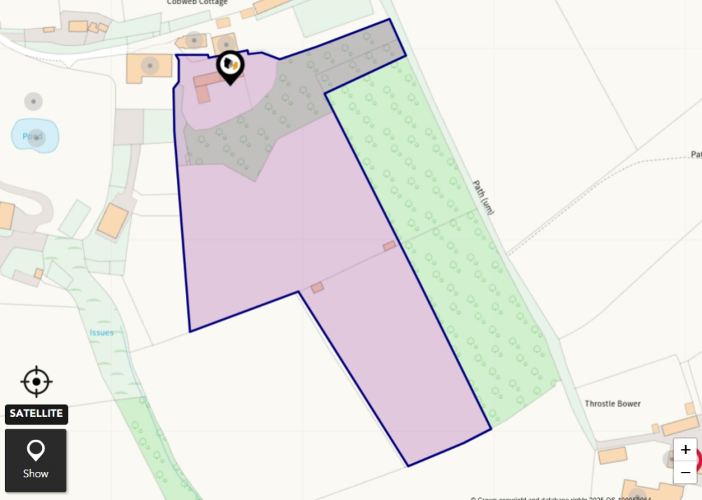 Plot