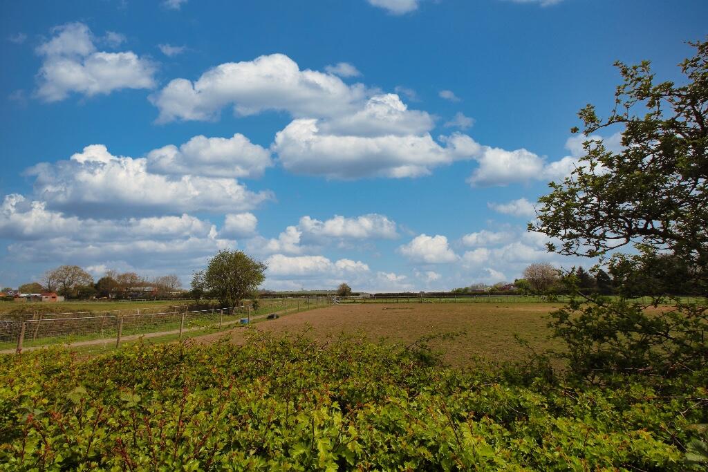 View from the garden