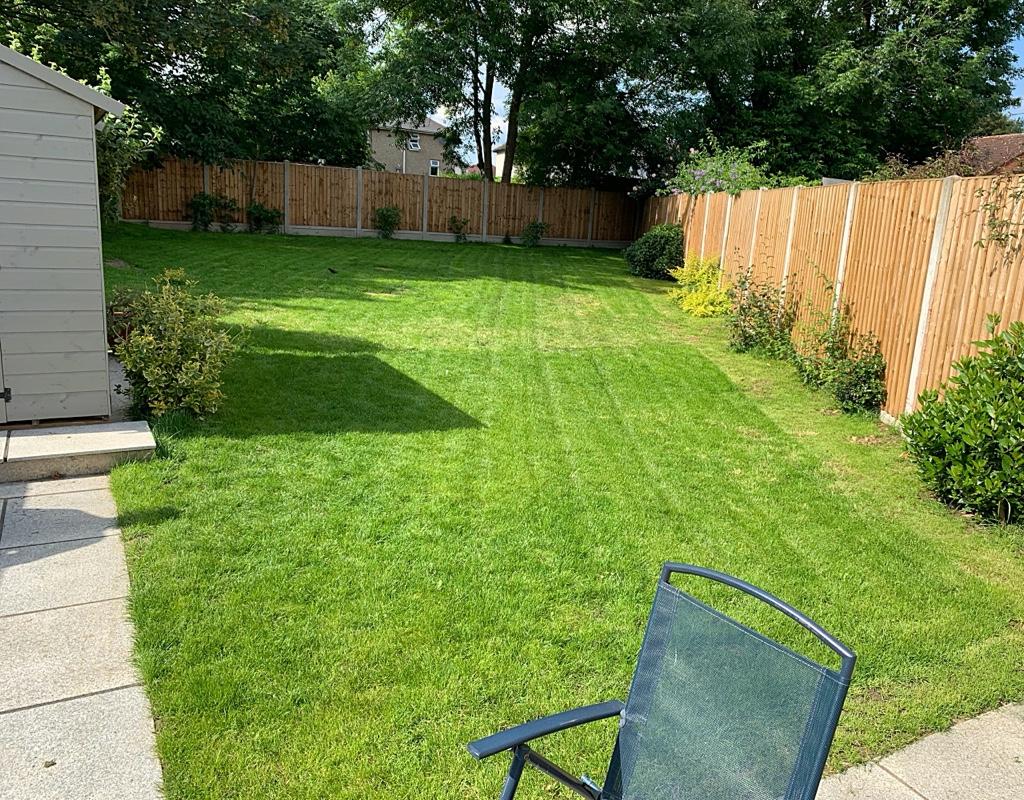 Communal Garden