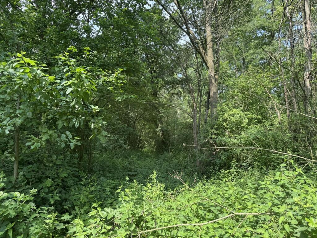 IMG_0880.JPEG