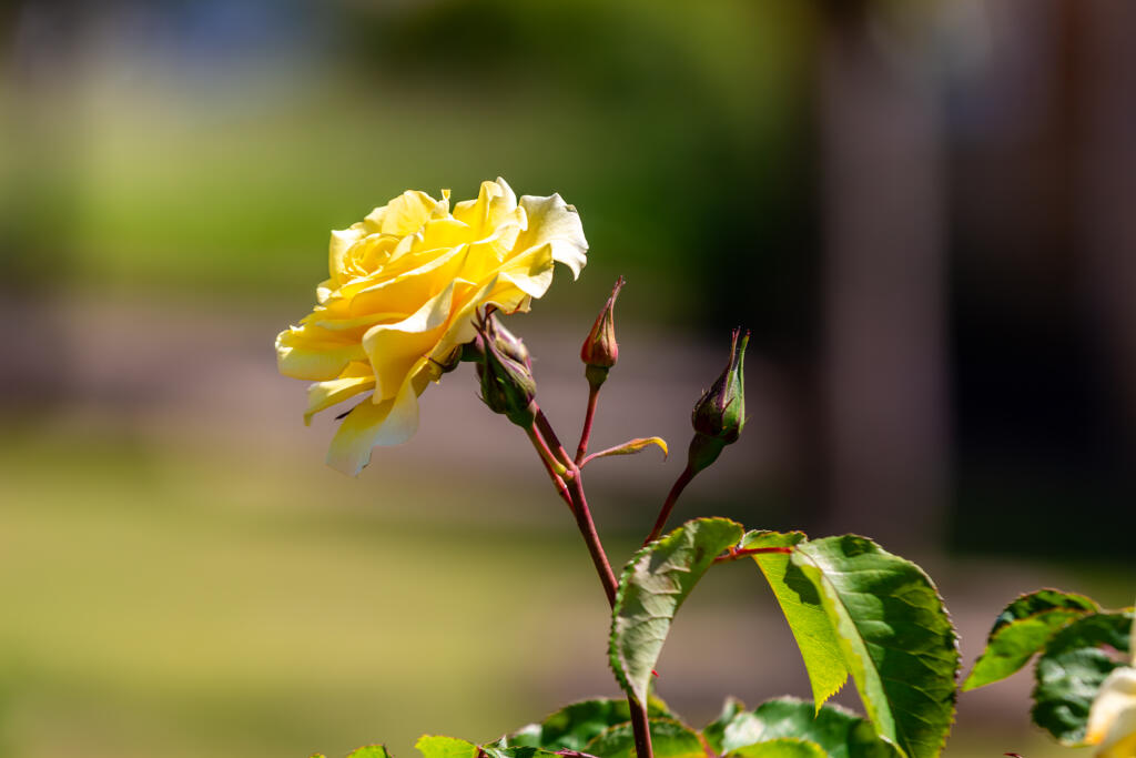 5F8A3048-Enhanced-NR