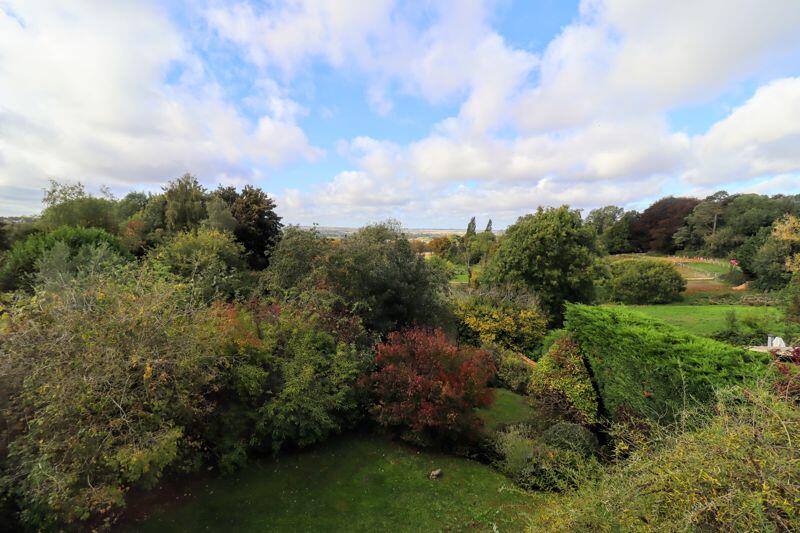 View Of Garden