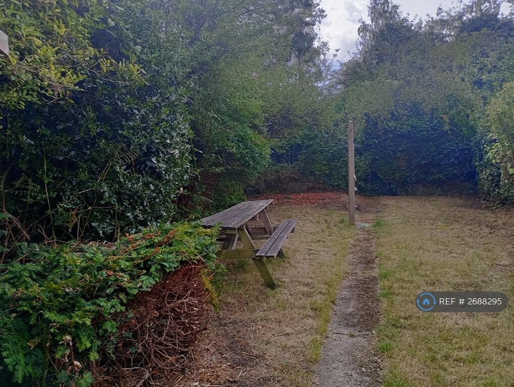 Back Garden