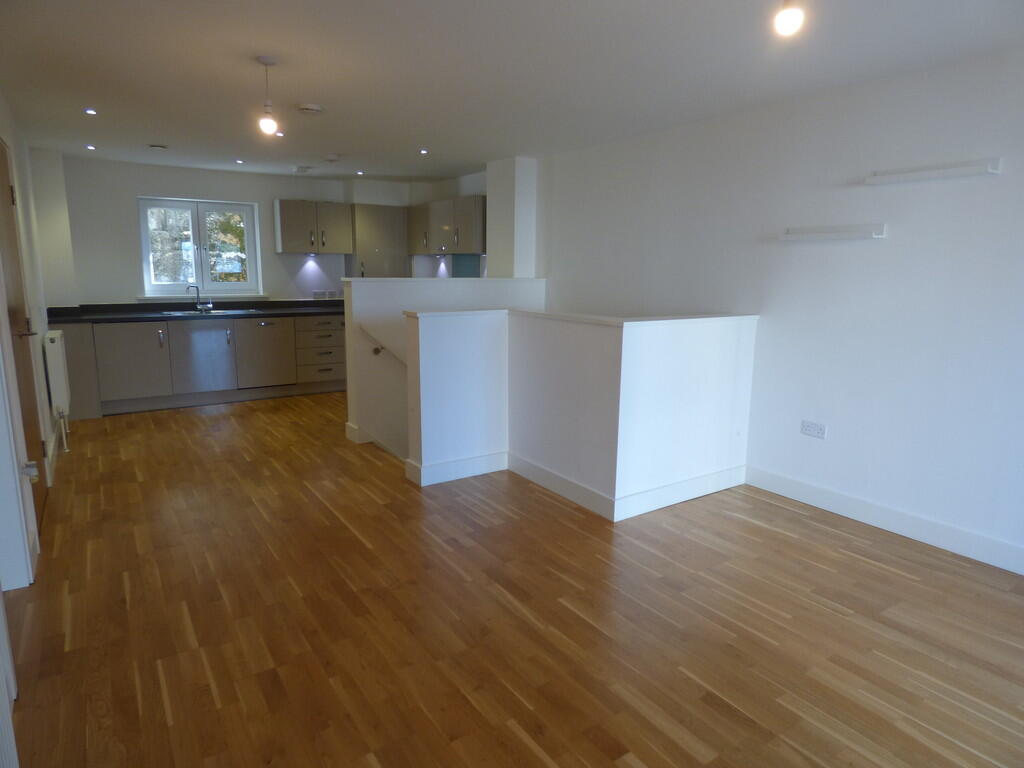 Kitchen/Living Ro...