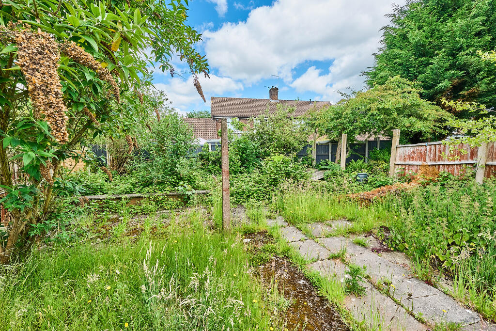 P1462849 T202506021842.jpg