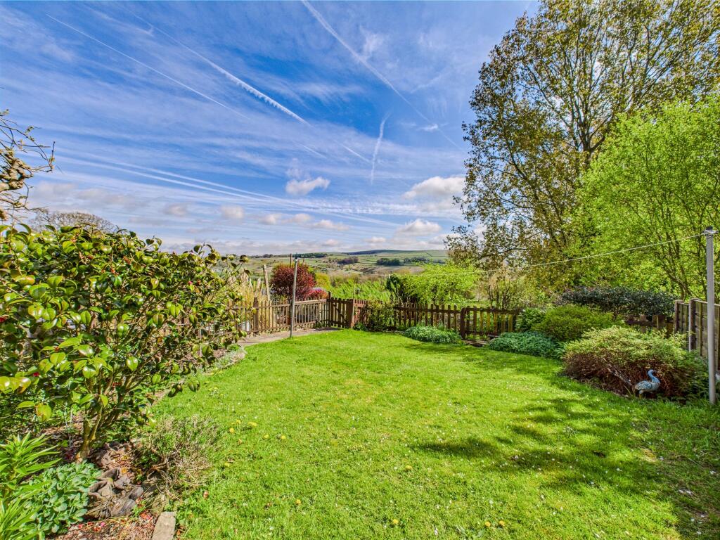 Rear Garden Lawn