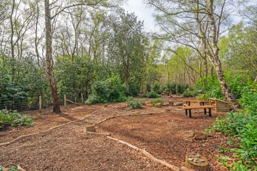 Private woodland