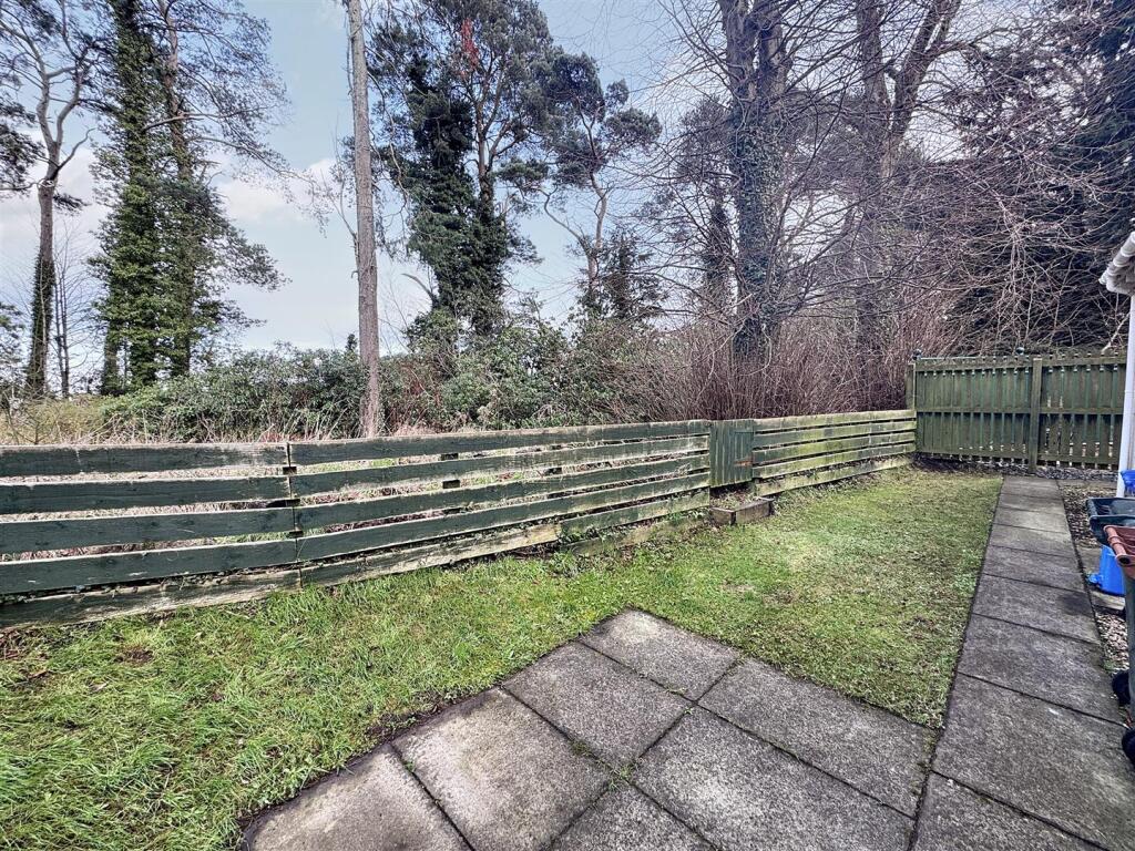 rear garden (1).jpg