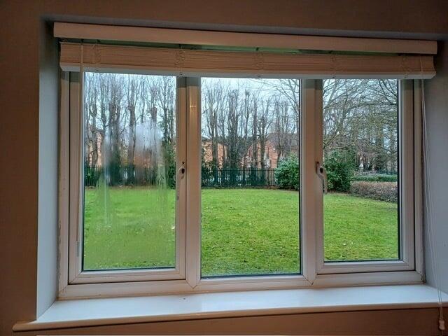 view from lounge window