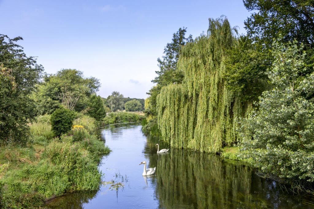 Enjoy scenic river walks